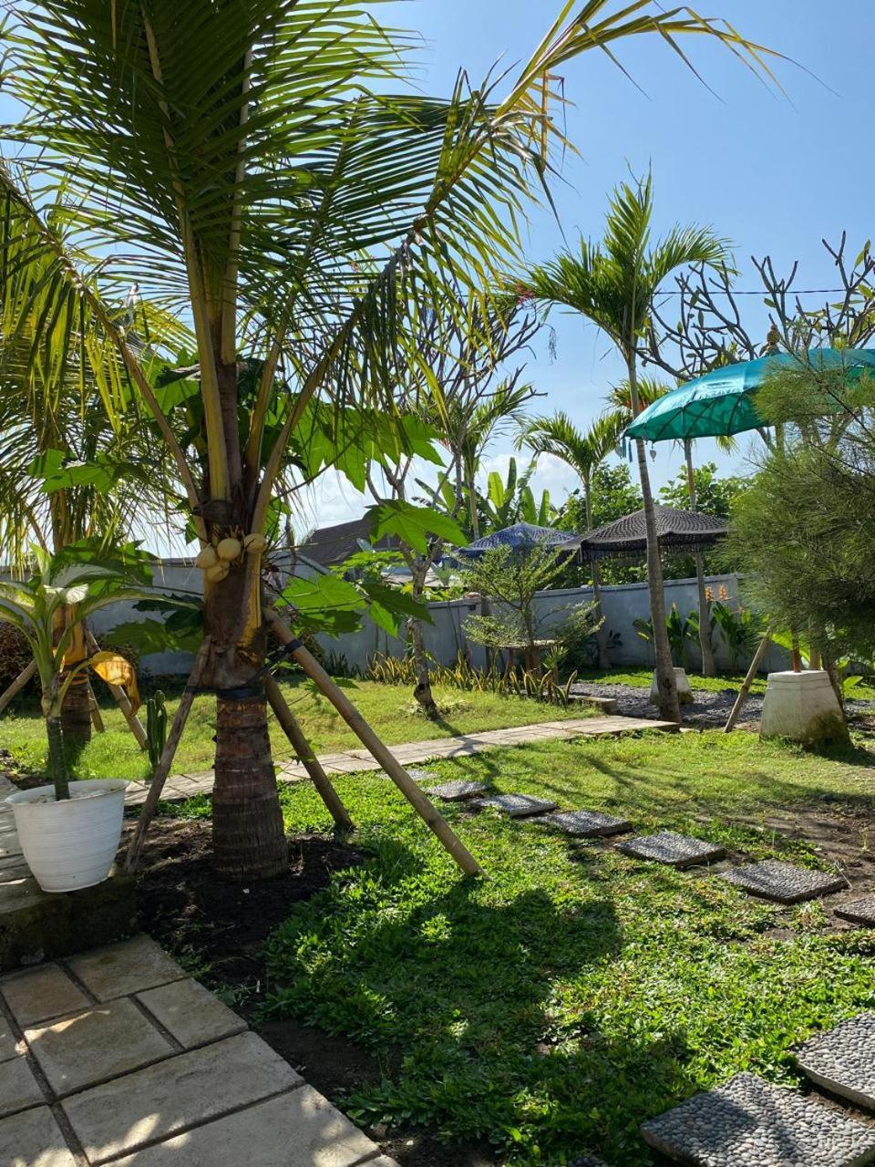 Sumbul View Surfcamp Otel Airsatang Dış mekan fotoğraf